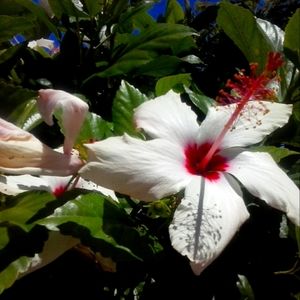 🦋💎🦋 CRYSTALS, GEMSTONES, JEWELS, GEMS, & JEWELRY 💎🦋💎